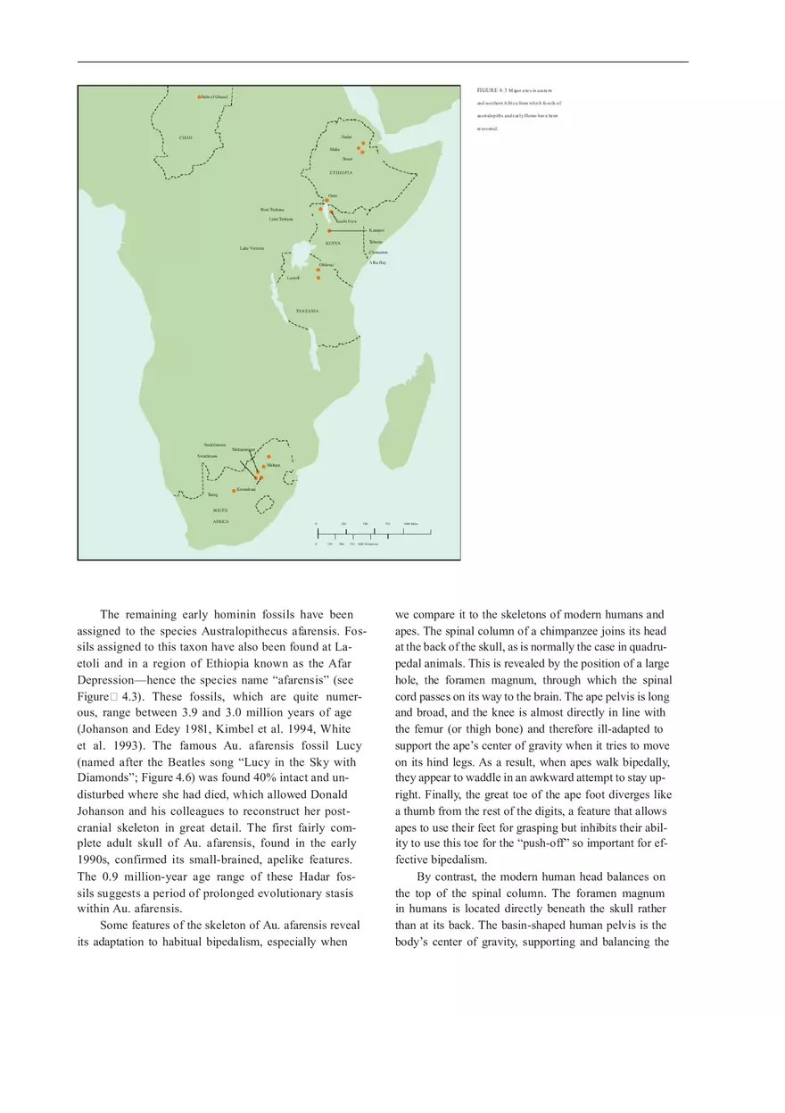 Anthropologie What Does It Mean To Be Human Part 1 - Page 7