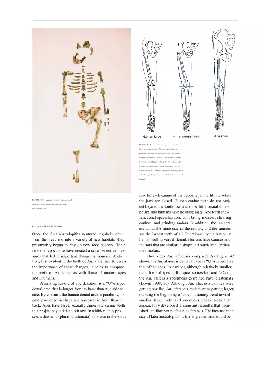 Anthropologie What Does It Mean To Be Human Part 1 - Page 10