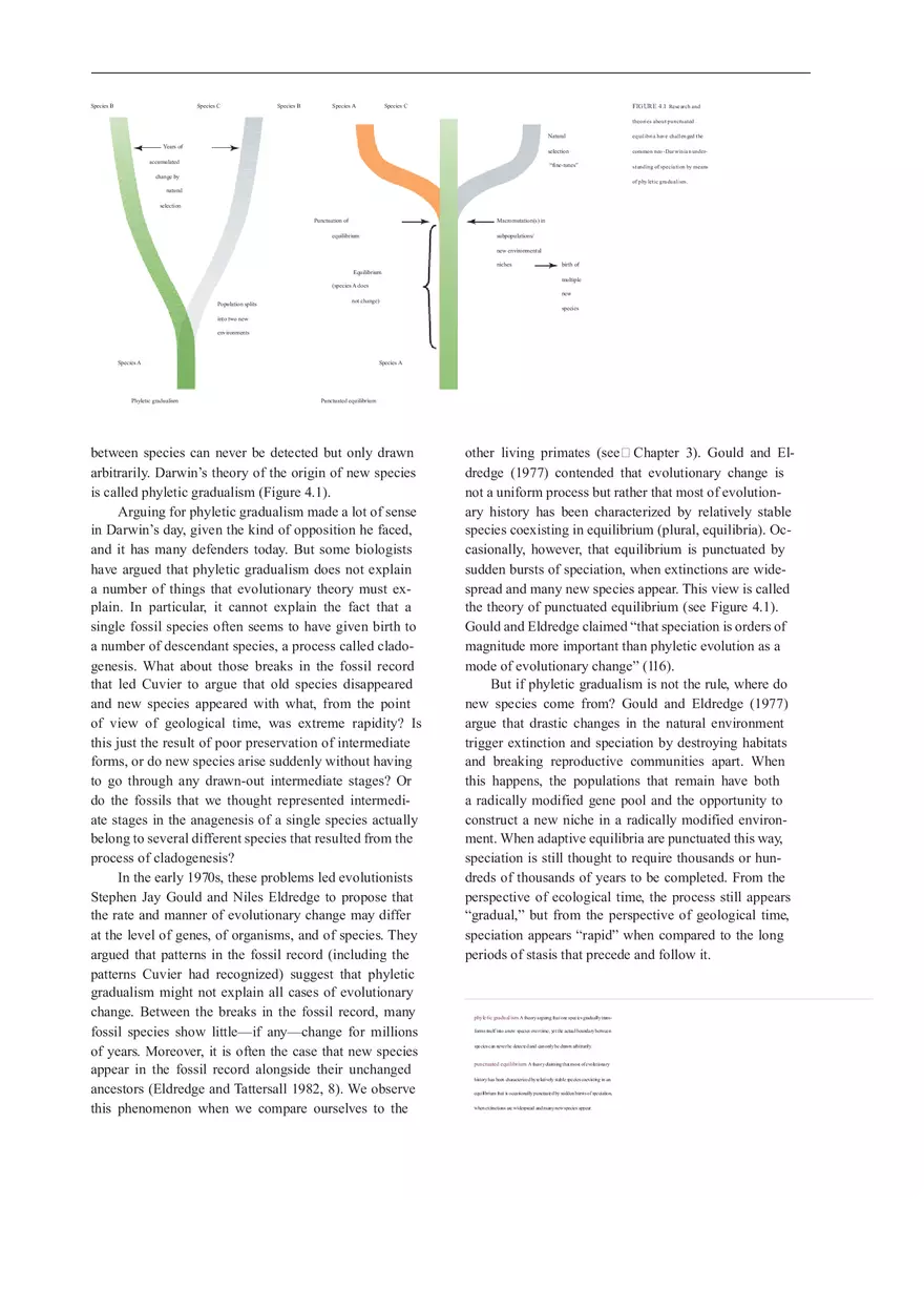 Anthropologie What Does It Mean To Be Human Part 1 - Page 2