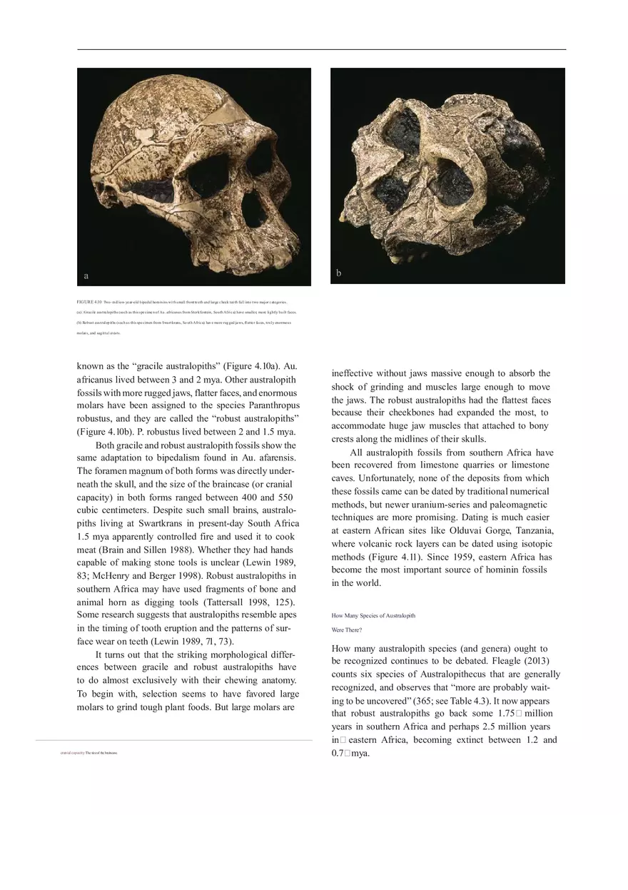 Anthropologie What Does It Mean To Be Human Part 1 - Page 3