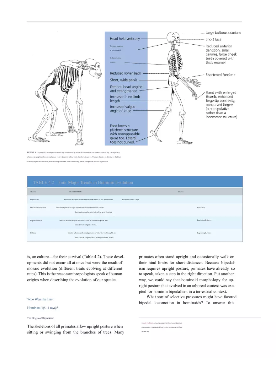 Anthropologie What Does It Mean To Be Human Part 1 - Page 5