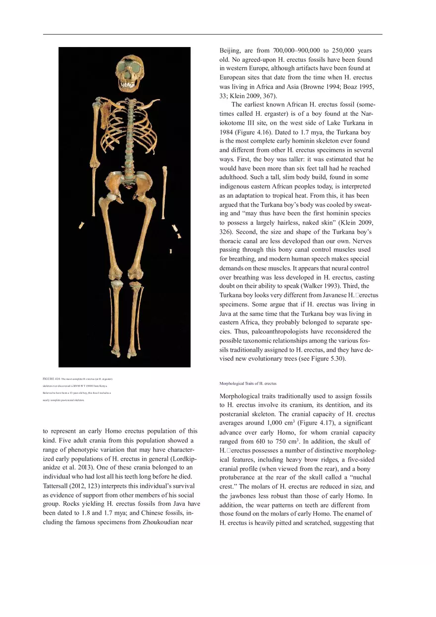 Anthropologie What Does It Mean To Be Human Part 2 - Page 7