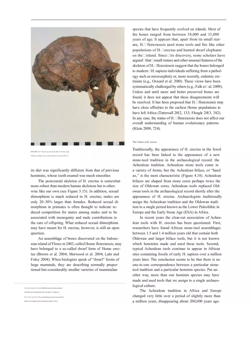 Anthropologie What Does It Mean To Be Human Part 2 - Page 8