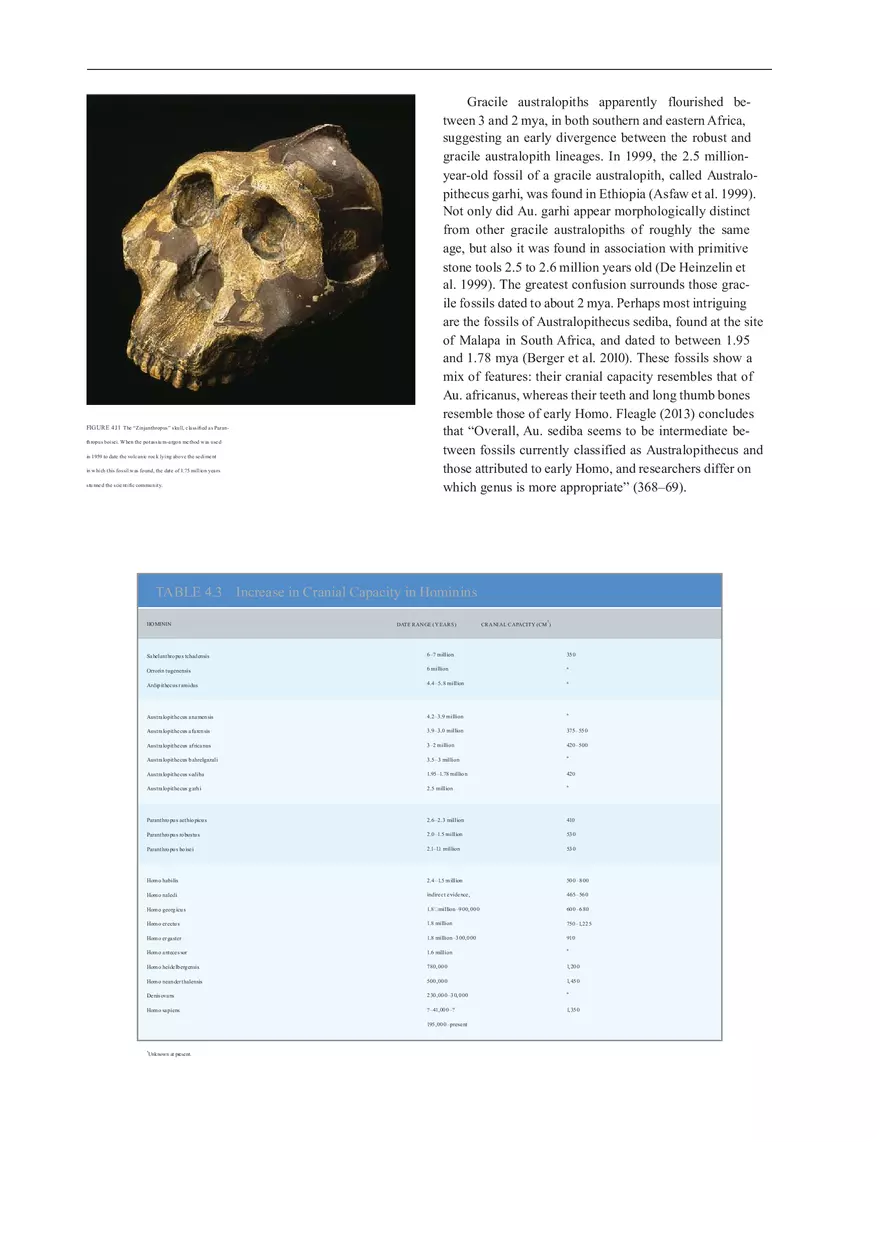 Anthropologie What Does It Mean To Be Human Part 2 - Page 1