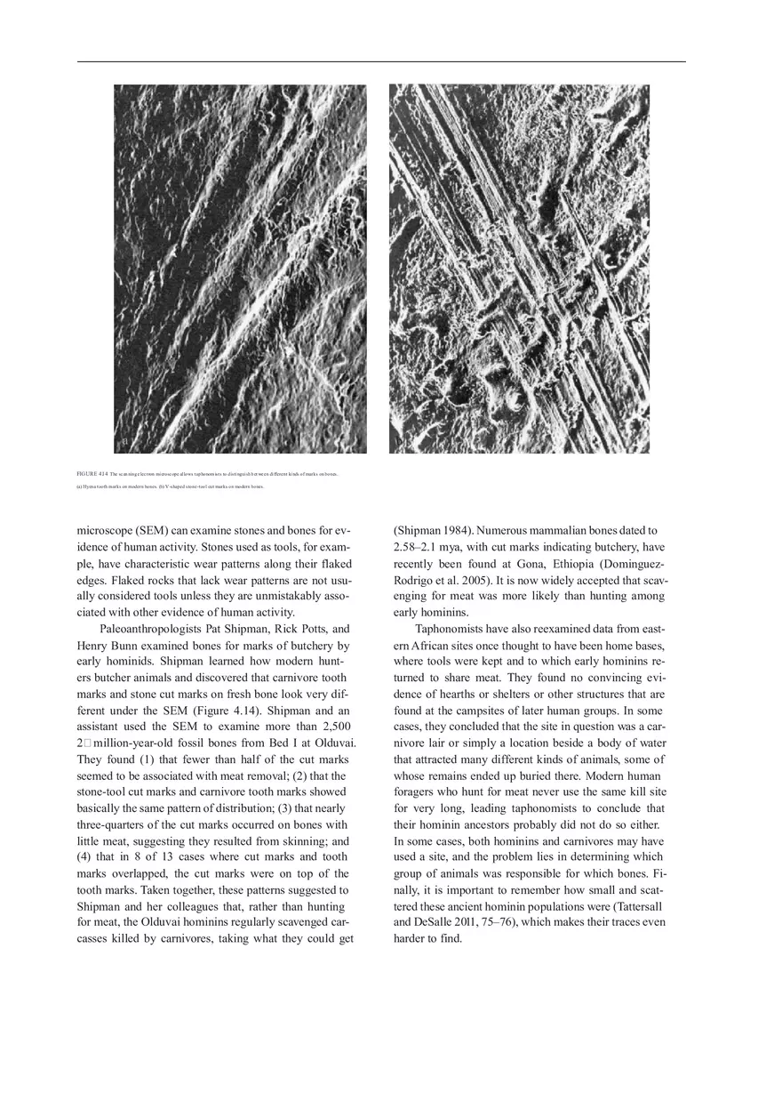 Anthropologie What Does It Mean To Be Human Part 2 - Page 5