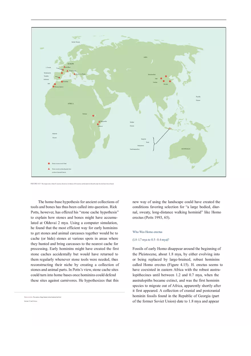 Anthropologie What Does It Mean To Be Human Part 2 - Page 6