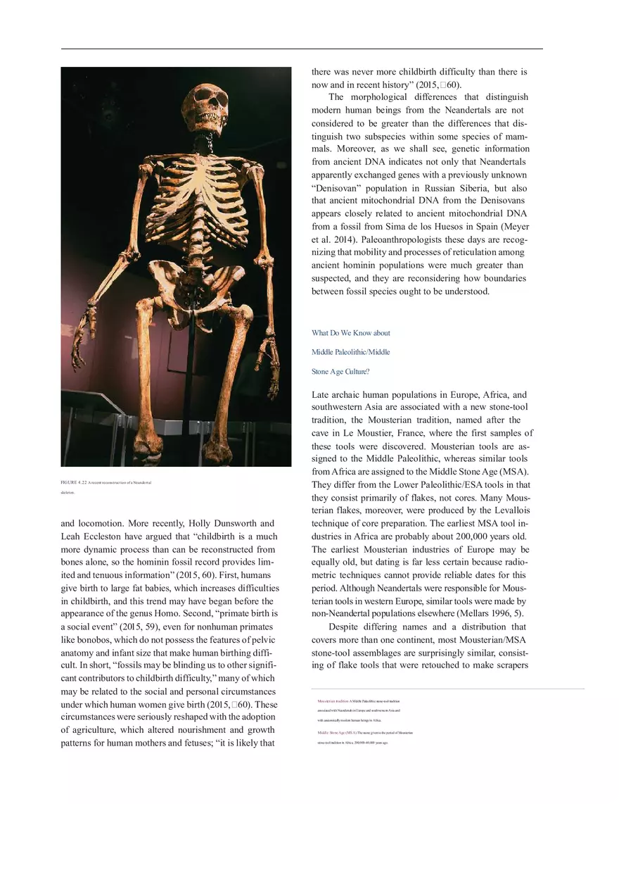 Anthropologie What Does It Mean To Be Human Part 3 - Page 7