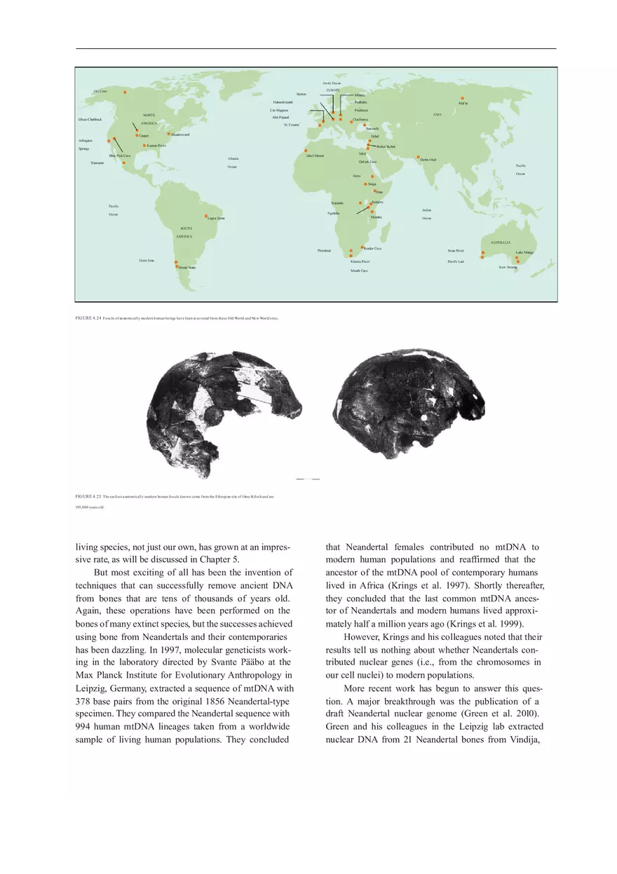 Anthropologie What Does It Mean To Be Human Part 3 - Page 12