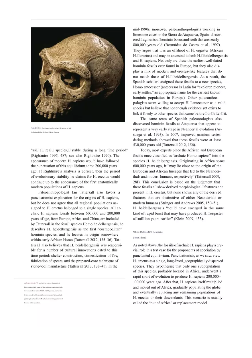 Anthropologie What Does It Mean To Be Human Part 3 - Page 2