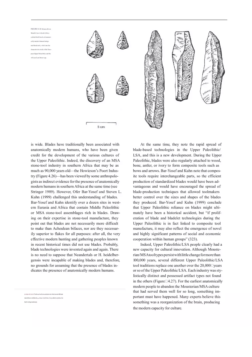 Anthropologie What Does It Mean To Be Human Part 3 - Page 4