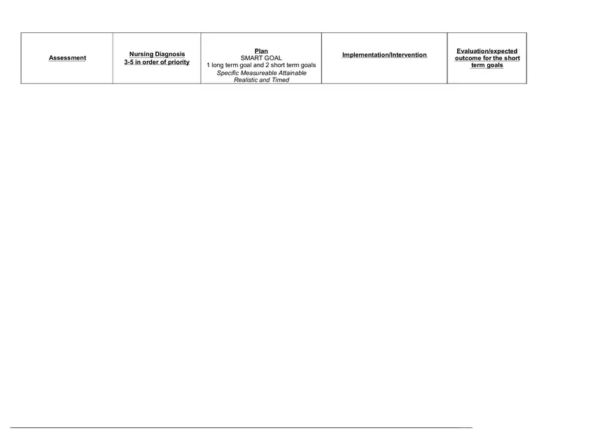 Adpie Care Plan Template Blank - Page 1