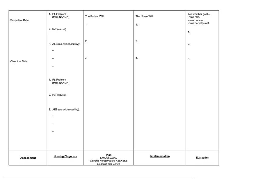 Adpie Care Plan Template Blank - Page 2