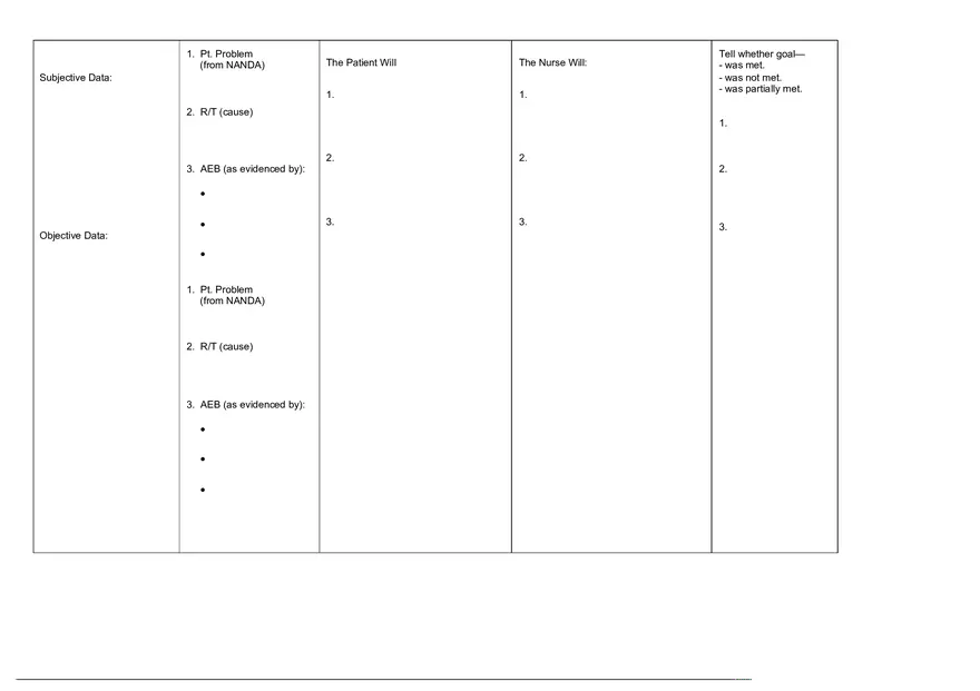 Adpie Care Plan Template Blank - Page 3