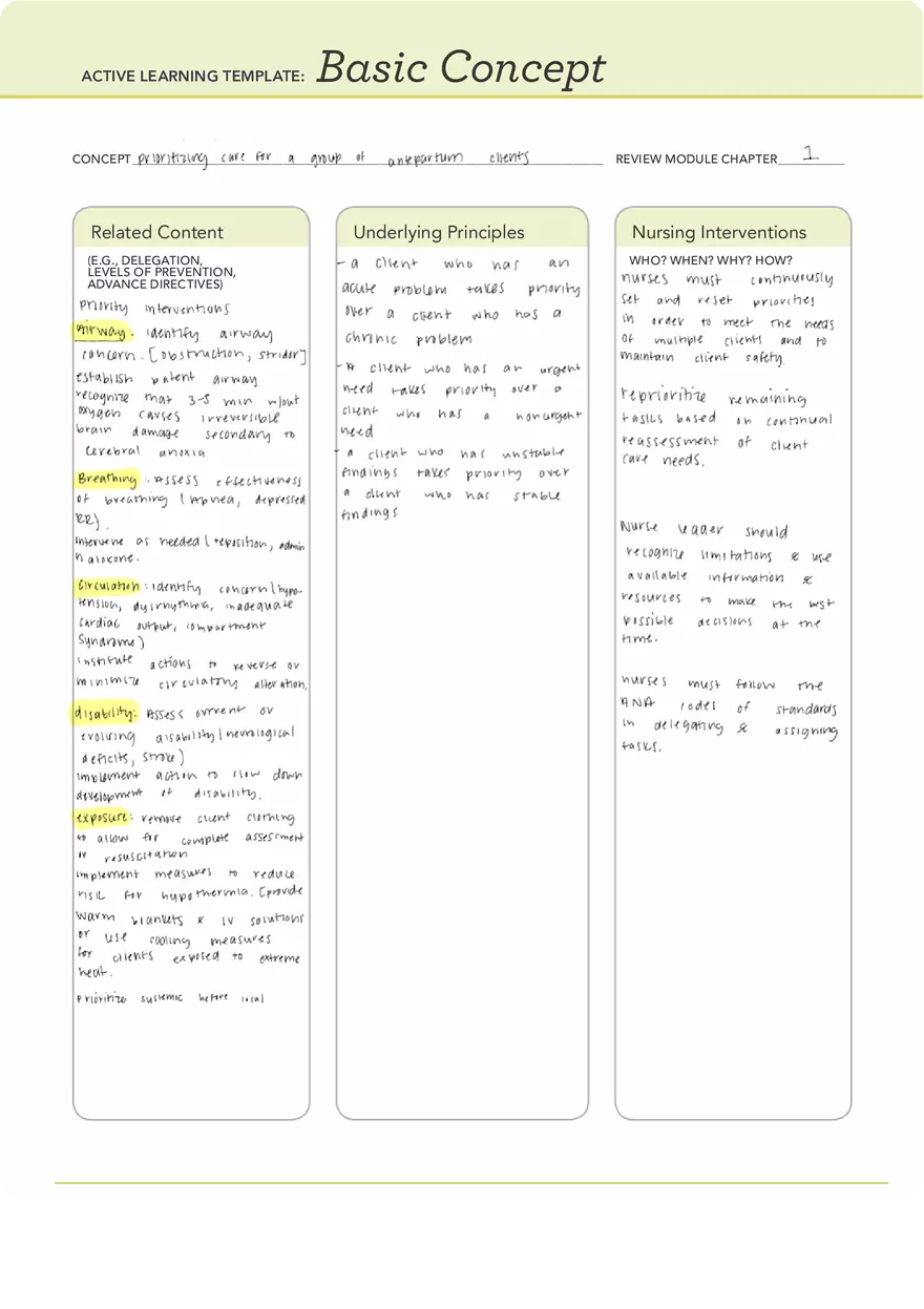 Prioritizing Care for a Group of Antepartum Client (Basic Concept) - Page 1