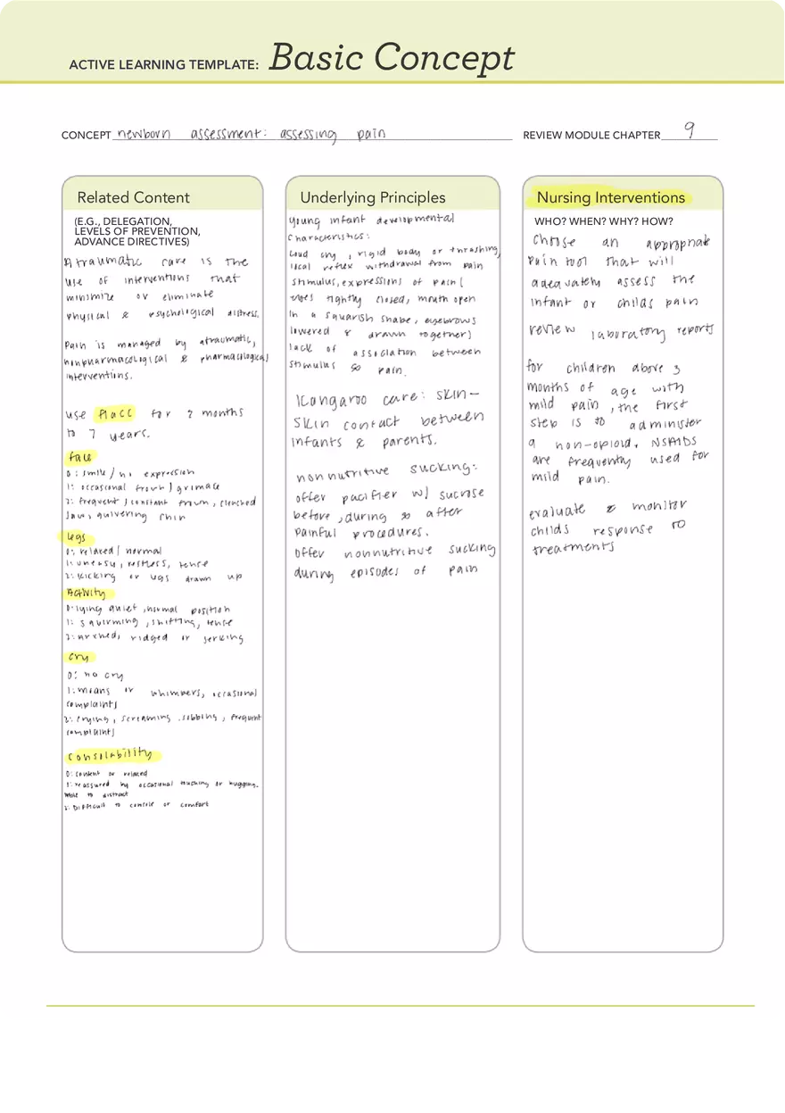 Prioritizing Care for a Group of Antepartum Client (Basic Concept) - Page 2