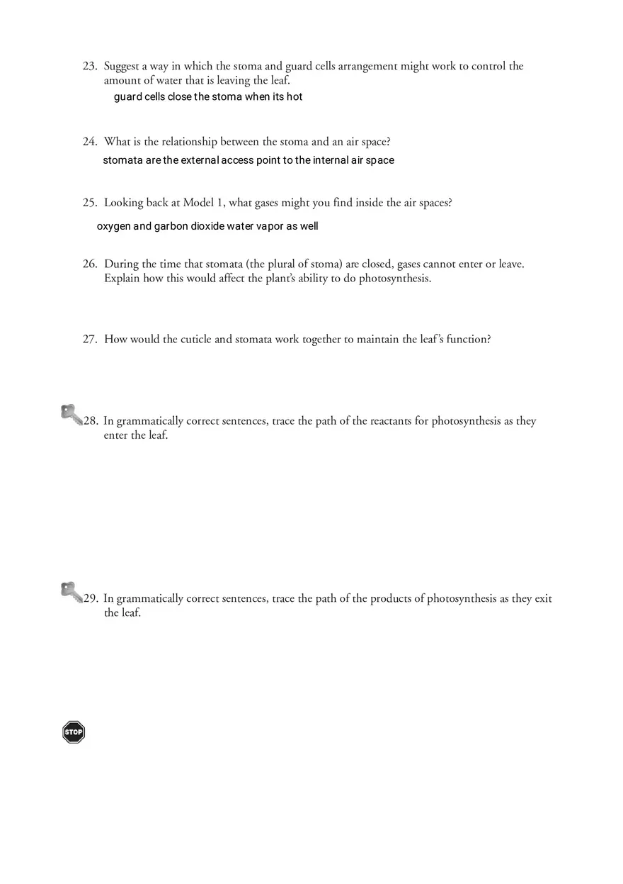 Photosynthesis - What's in a Leaf - Page 5