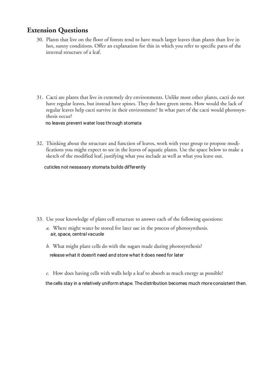 Photosynthesis - What's in a Leaf - Page 6