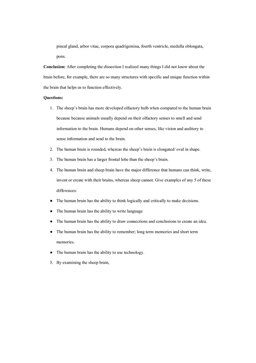 Brain Sheep Dissection - Page 2