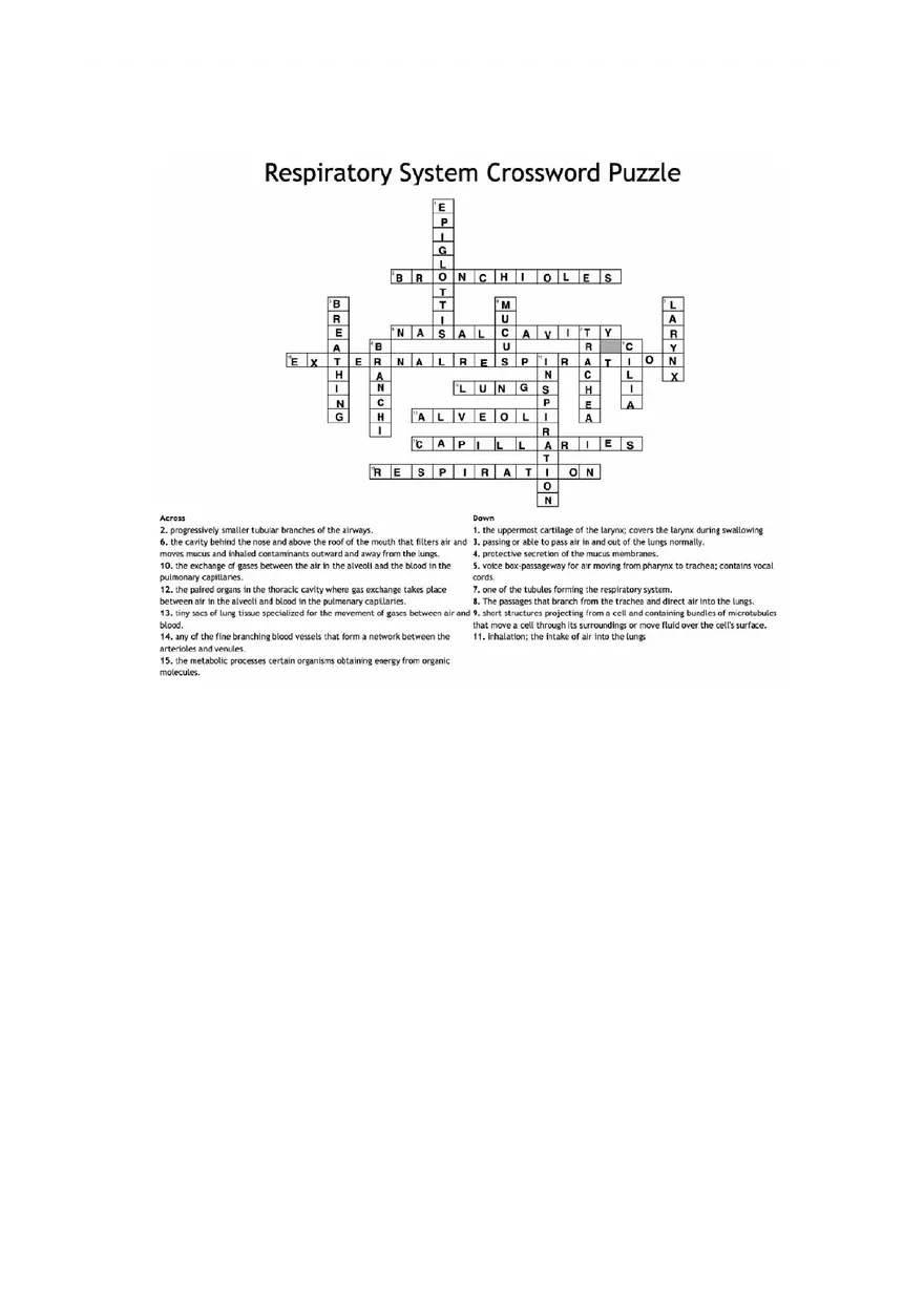 Respiratory Crossword Anaphy Lecture - Page 1