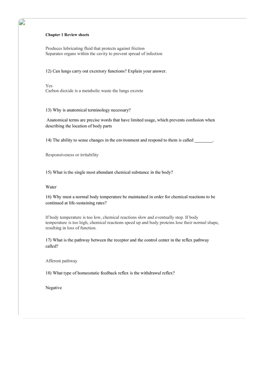 The Human Body An Orientation Worksheets Answer - Page 17