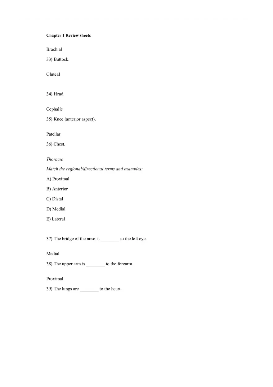 The Human Body An Orientation Worksheets Answer - Page 24