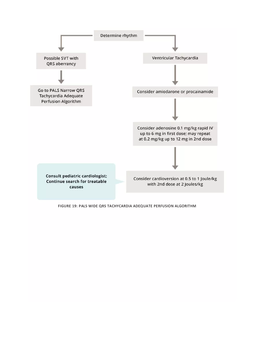PALS Study Guide Part 4 - Page 4