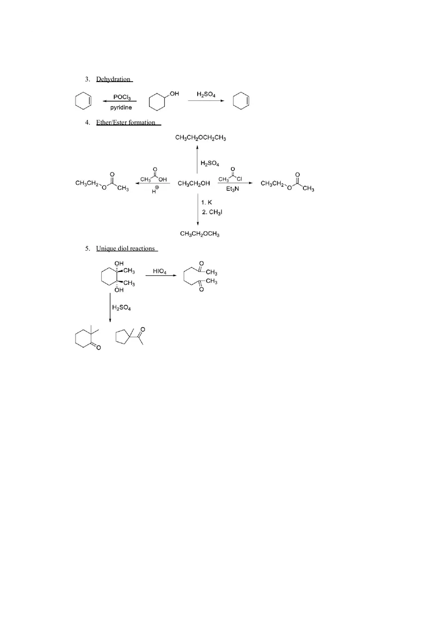 Classification of Organic Reactions Study Guide - Page 5