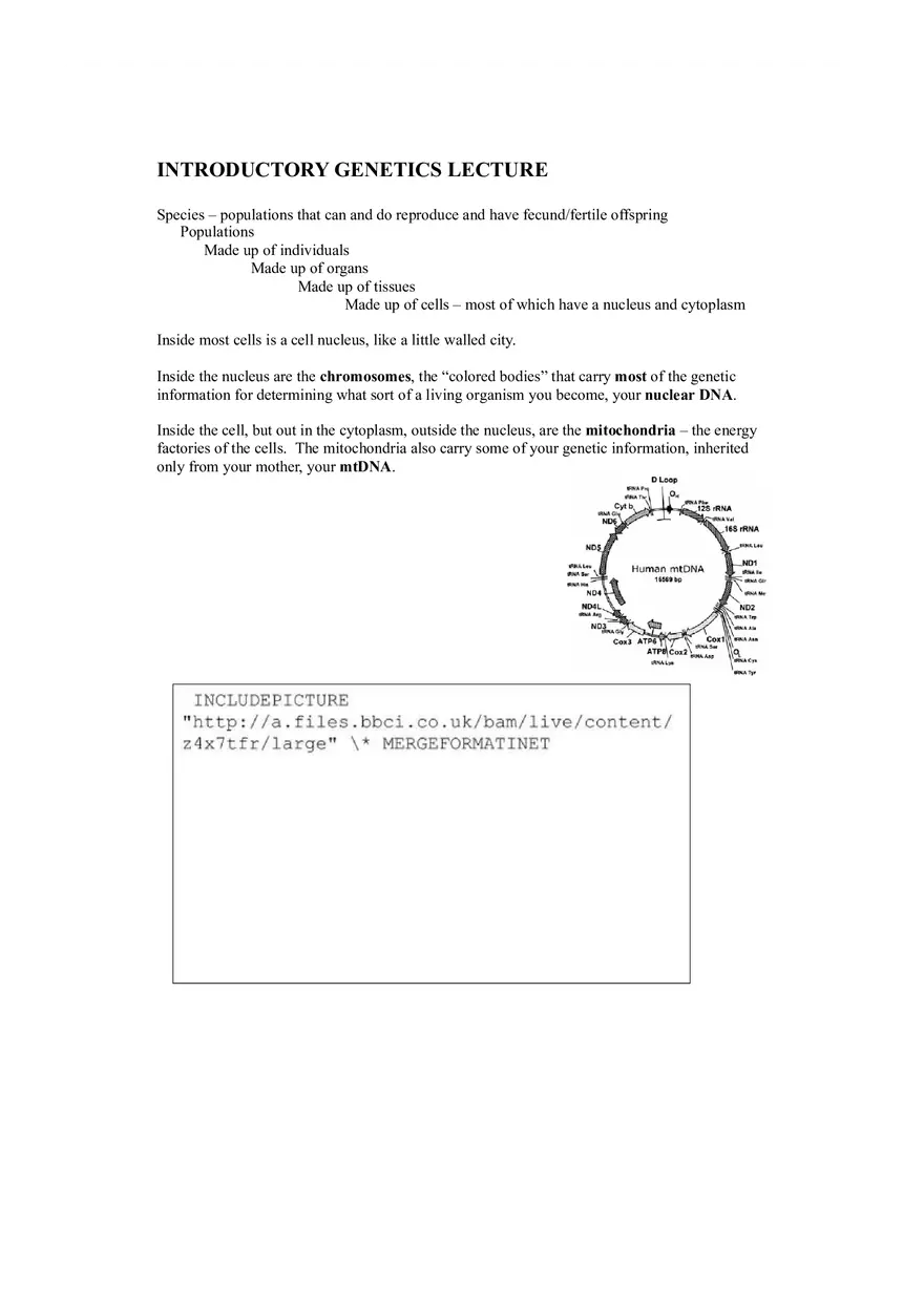 Introductory Genetics Lecture Notes - Page 1