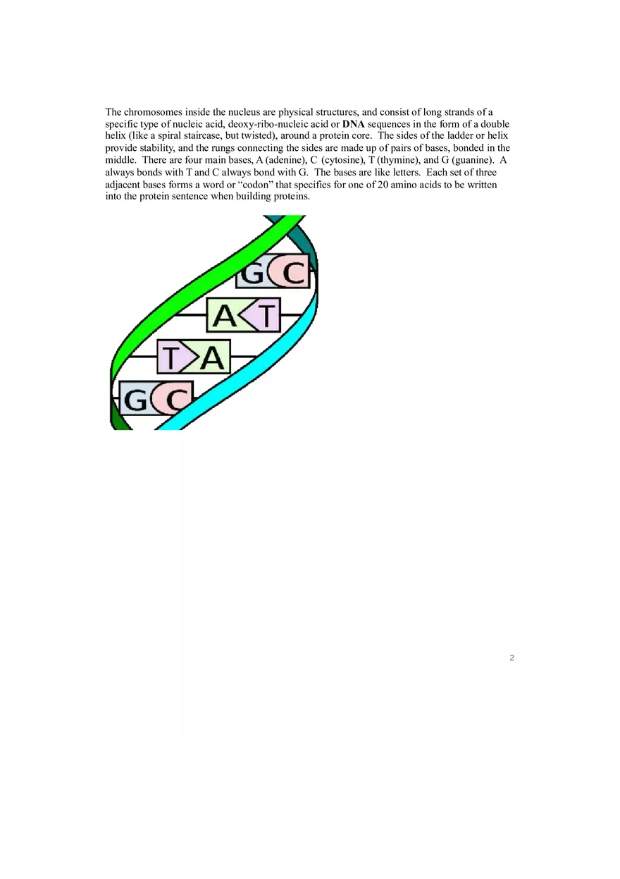 Introductory Genetics Lecture Notes - Page 2