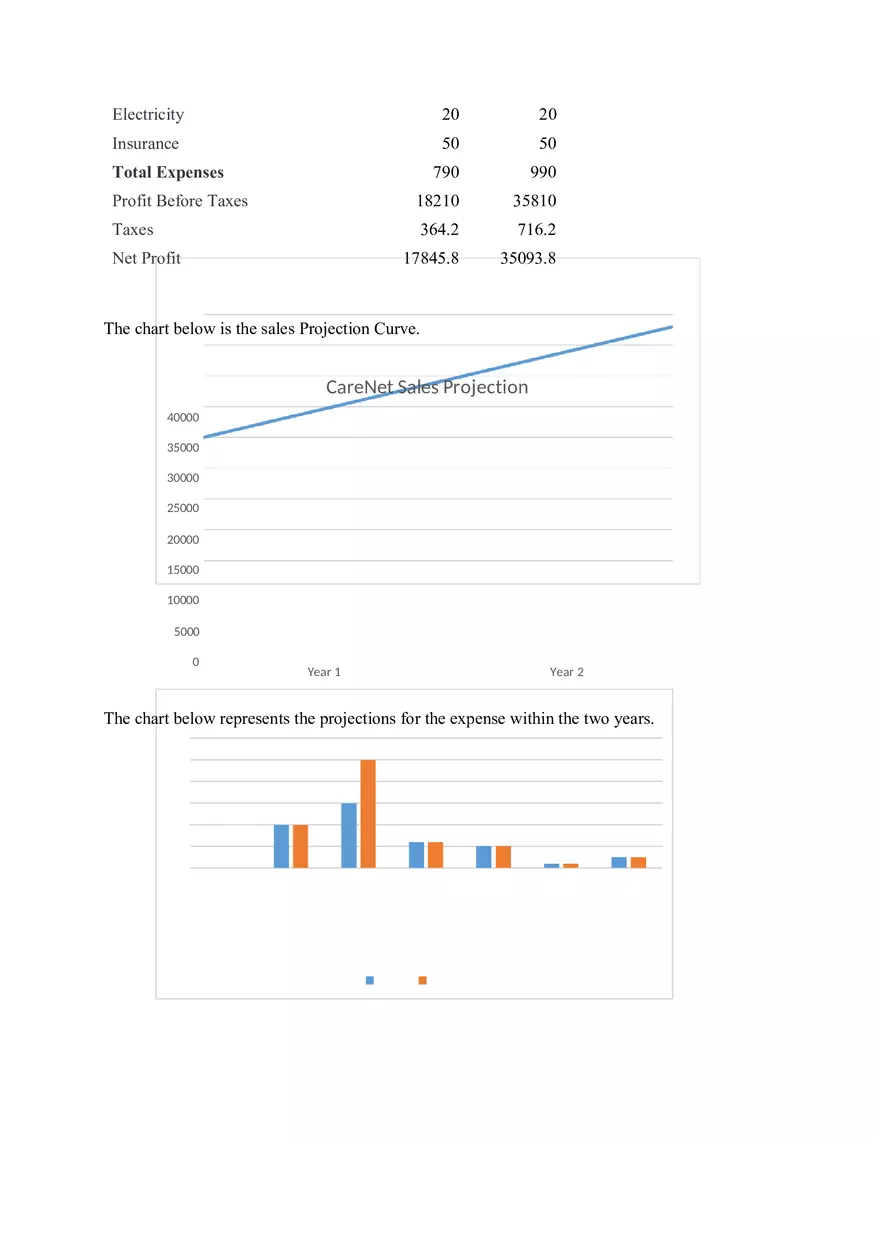 Virtual Assistant Business Plan - Page 8