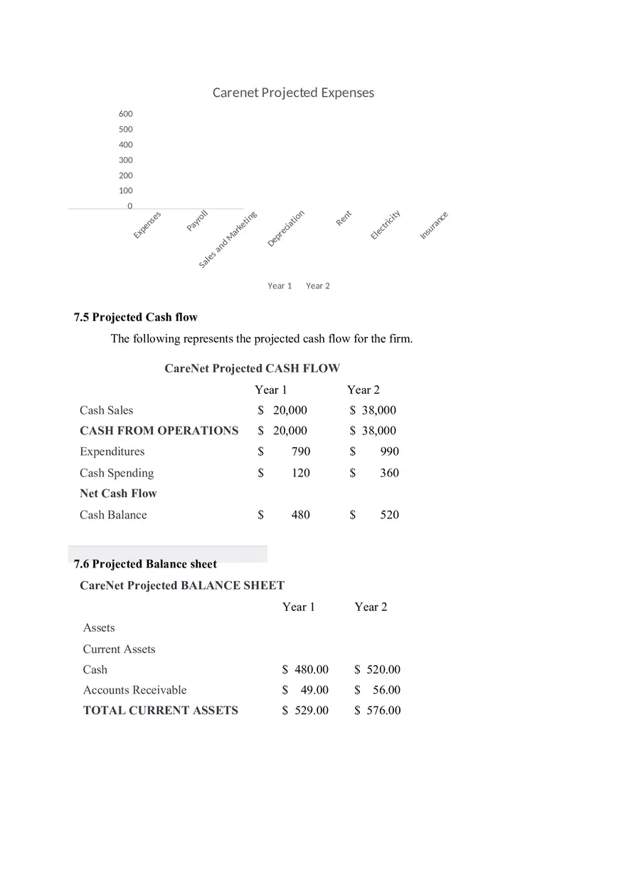 Virtual Assistant Business Plan - Page 9