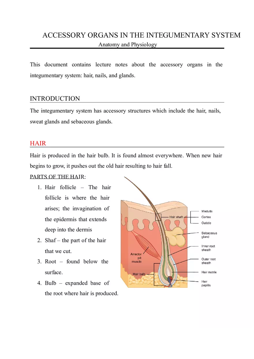 Accessory Organs of the Integumentary System - Page 1