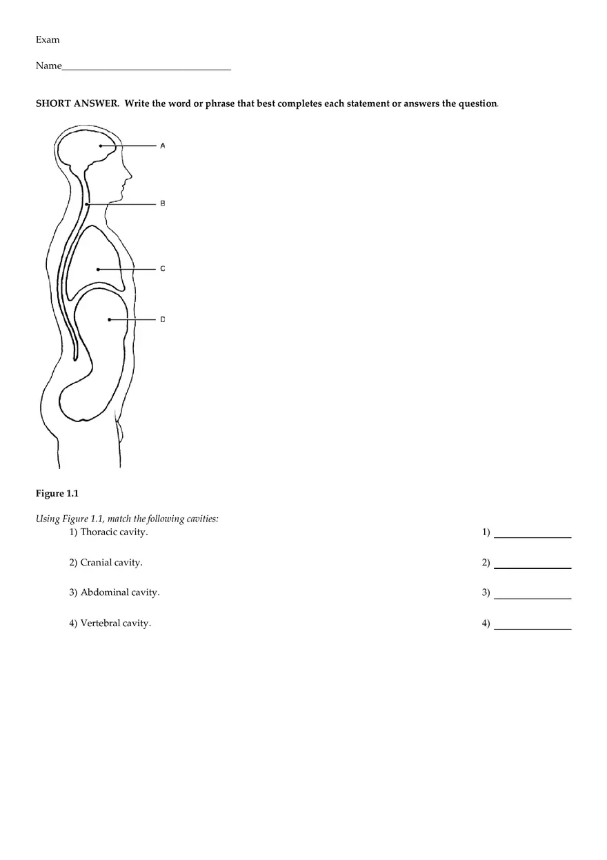 Anatomy Practice Questions - Page 20