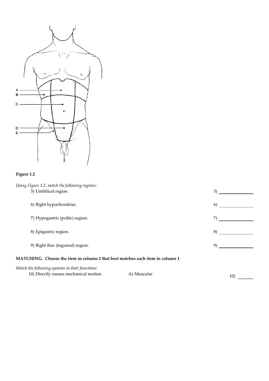 Anatomy Practice Questions - Page 3