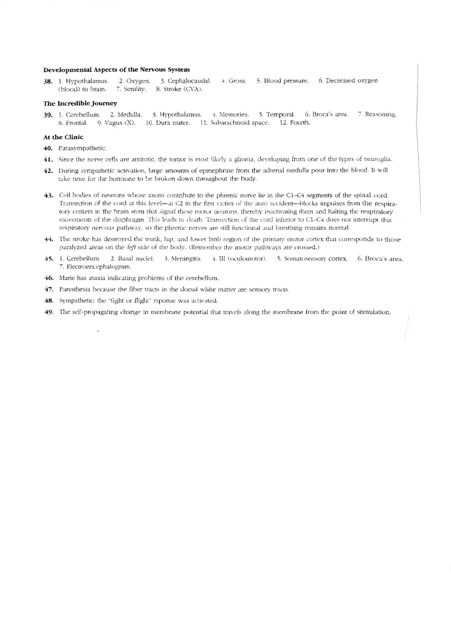Answers to Nervous System Worksheet Complete - Page 4