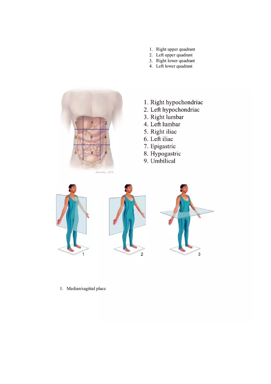 (Body Structure) - Pre-class Assignment - Page 2