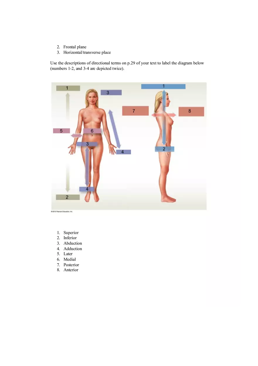 (Body Structure) - Pre-class Assignment - Page 3