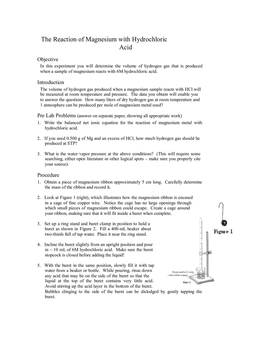 Lab - Reaction of Magnesium with Hydrochloric Acid - Page 1