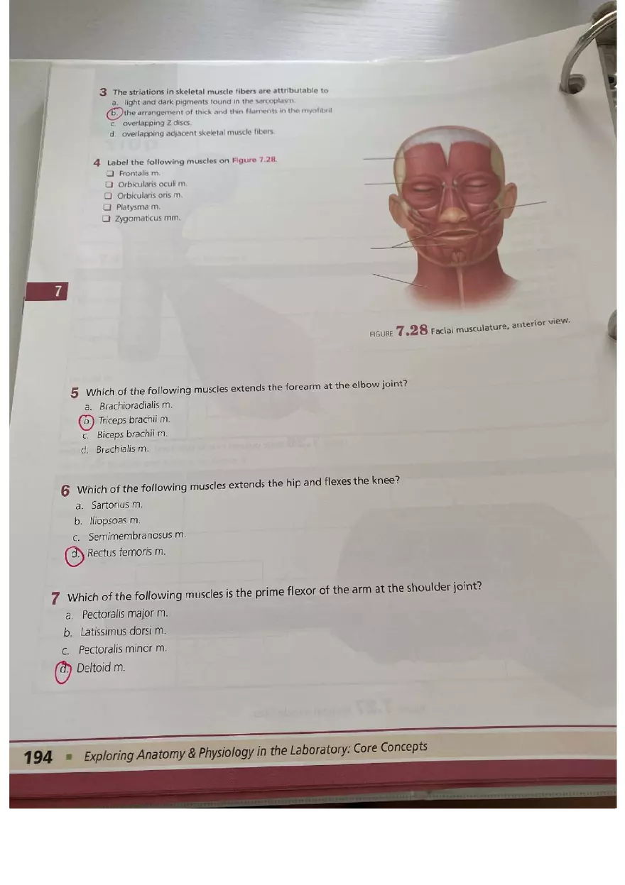 Muscle Tissue - Prelab Workbook Answer - Page 4