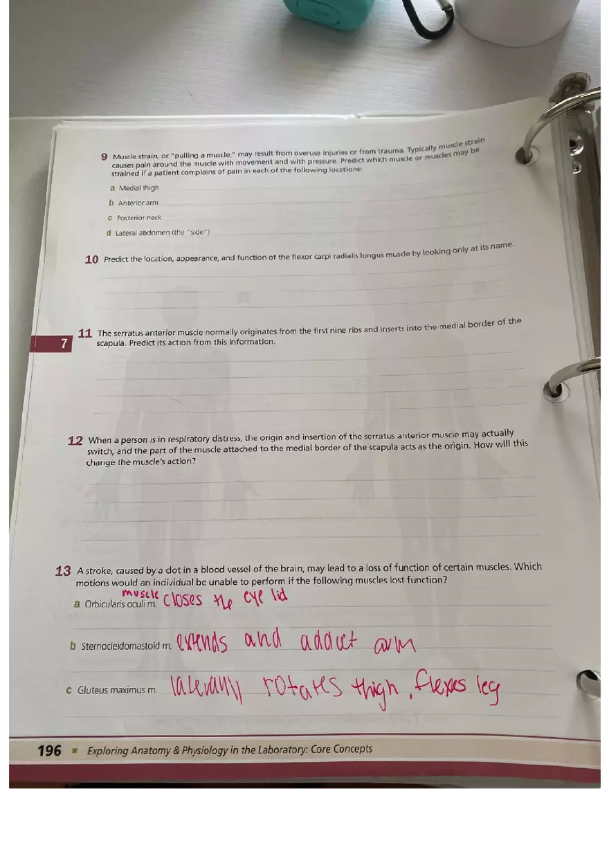 Muscle Tissue - Prelab Workbook Answer - Page 5