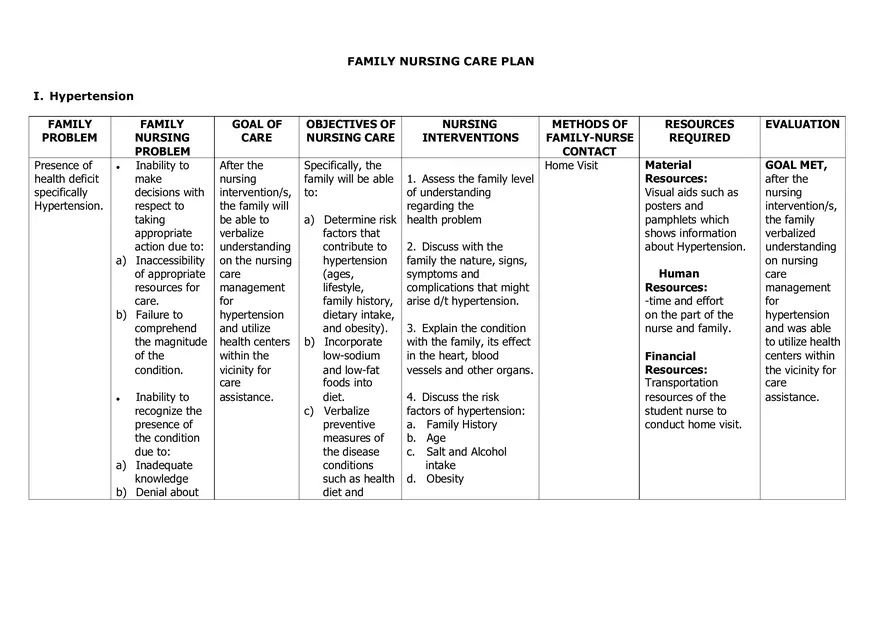 Family Nursing Care Plan - Page 1