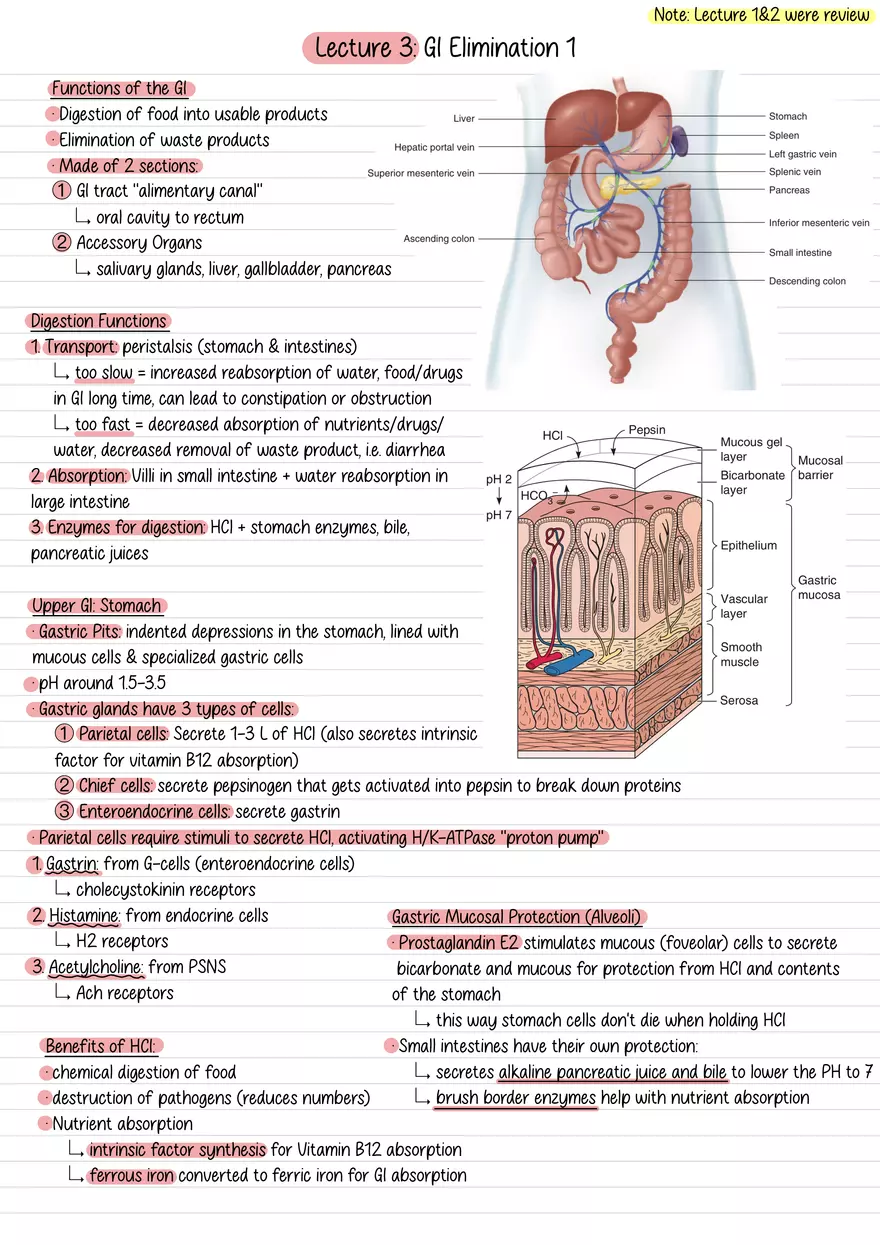Lecture 3: GI Elimination 1 - Page 1