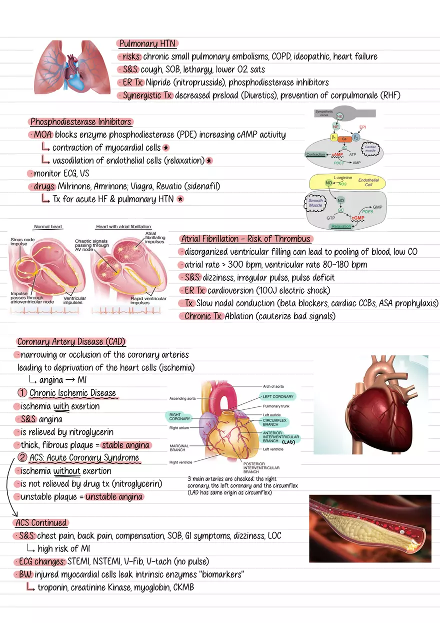 Lecture 8: Coagulation & CAD - Page 2