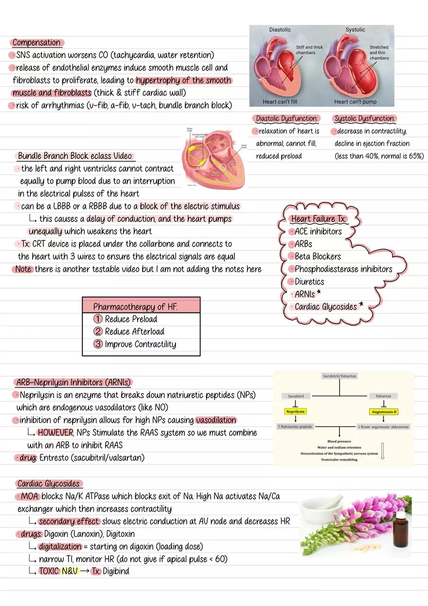 Lecture 9: Heart Failure & Endocrine Disorders - Page 2