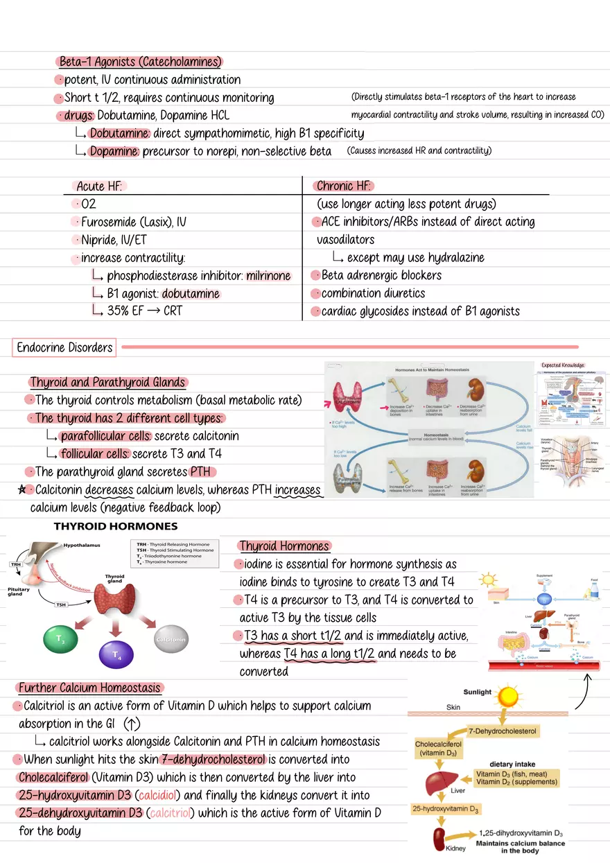 Lecture 9: Heart Failure & Endocrine Disorders - Page 3