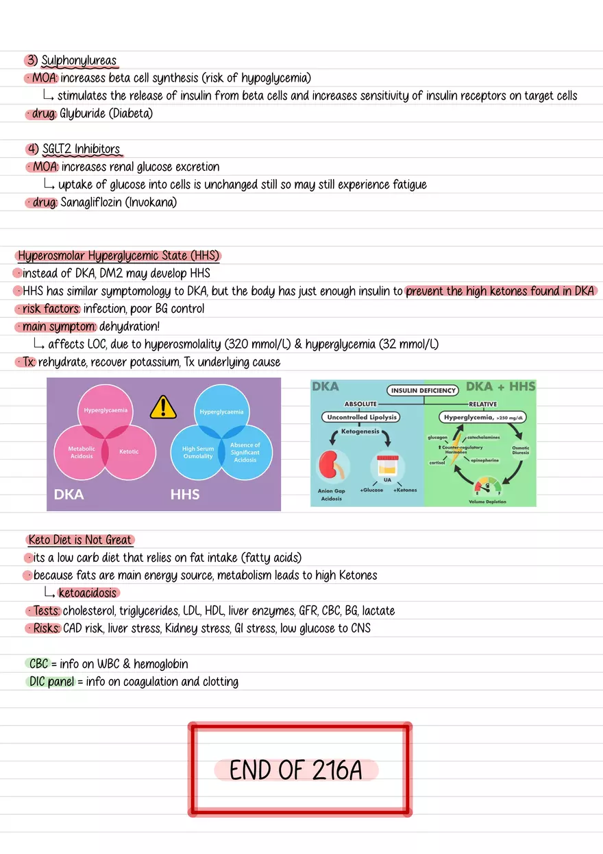 Lecture 11: Glucose Regulation Part 2 - Page 2