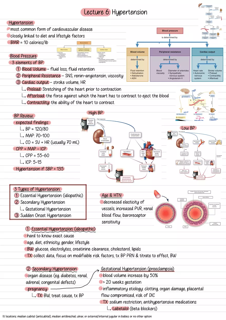 Lecture 6: Hypertension - Page 1