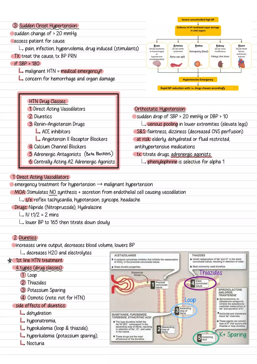 Lecture 6: Hypertension - Page 2