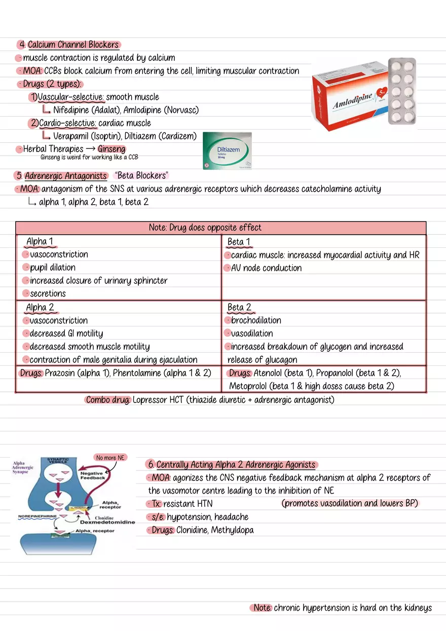 Lecture 6: Hypertension - Page 4