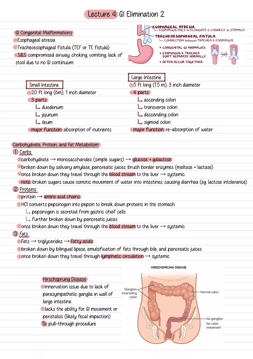 Lecture 4: GI Elimination 2 - Page 1